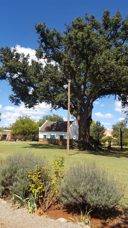  President Pretorius Museum