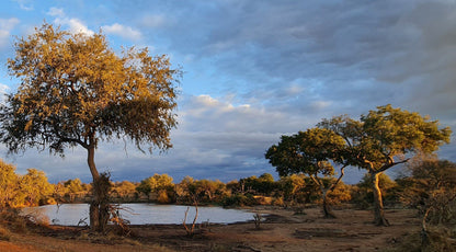  Pridelands Conservancy