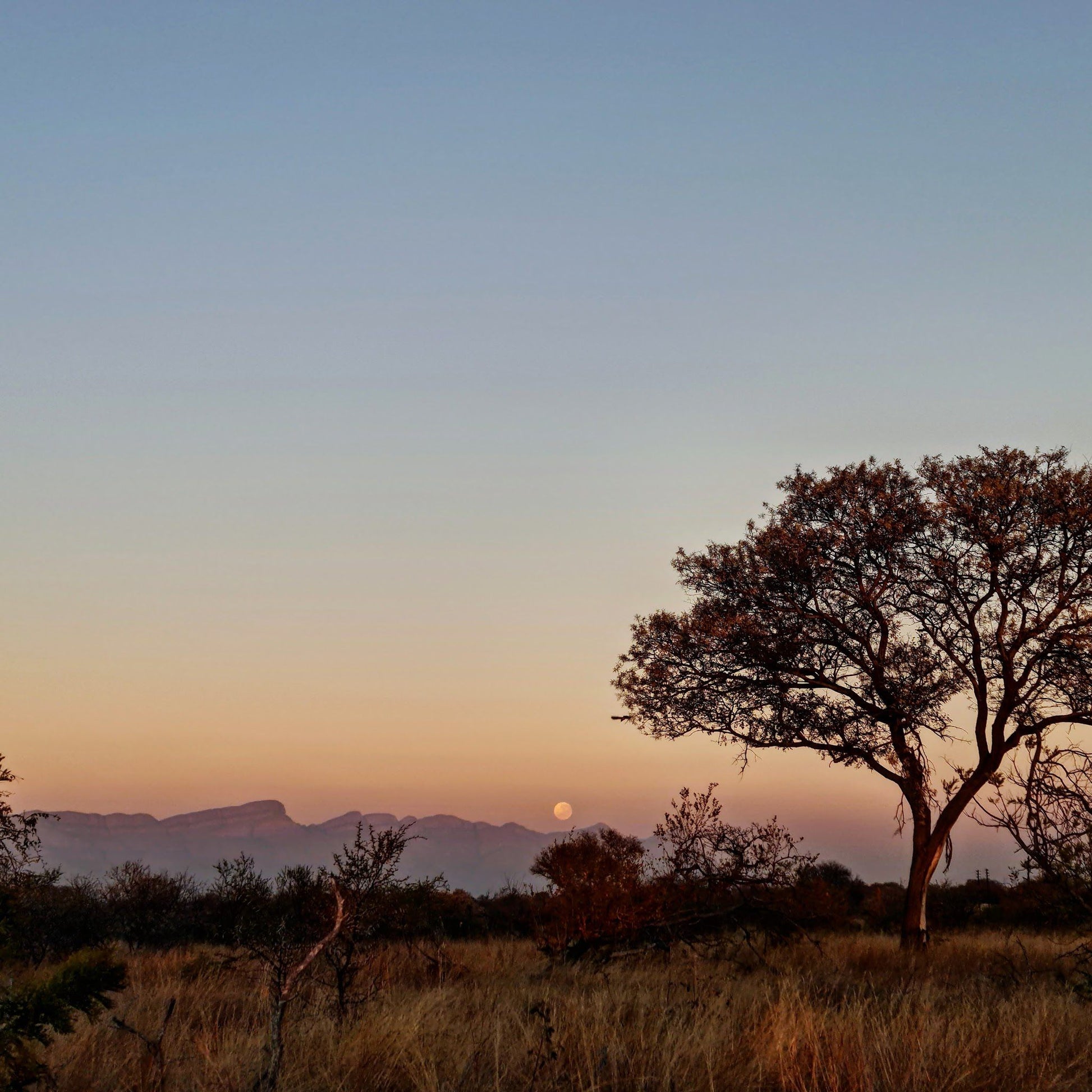  Pridelands Conservancy