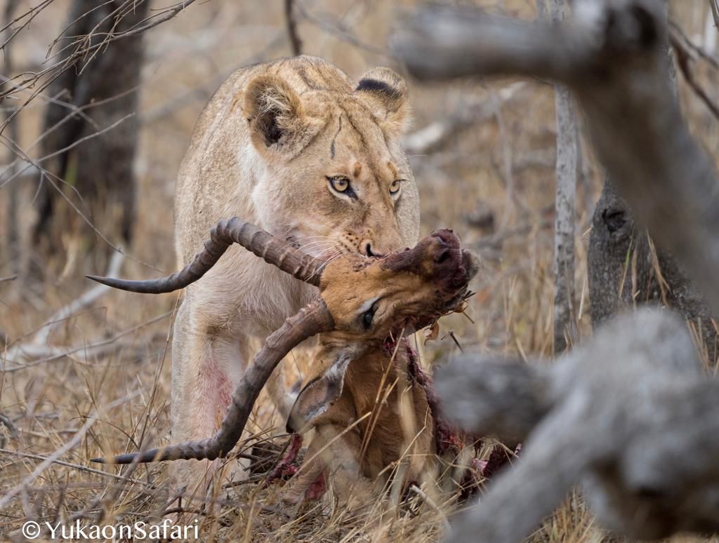  Pridelands Conservancy