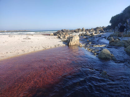  Pringle Bay Lagoon