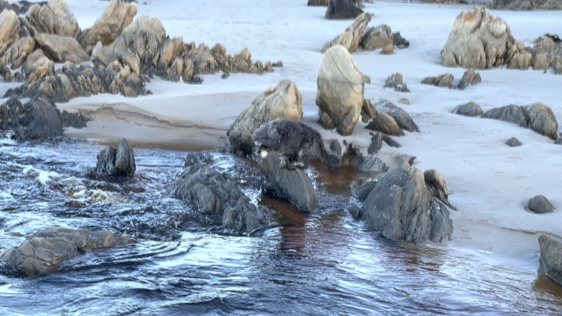  Pringle Bay Lagoon