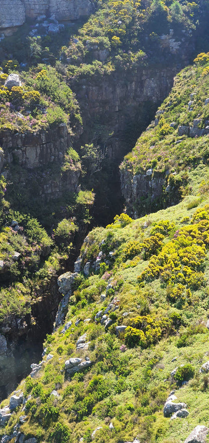 Pulpit Rock