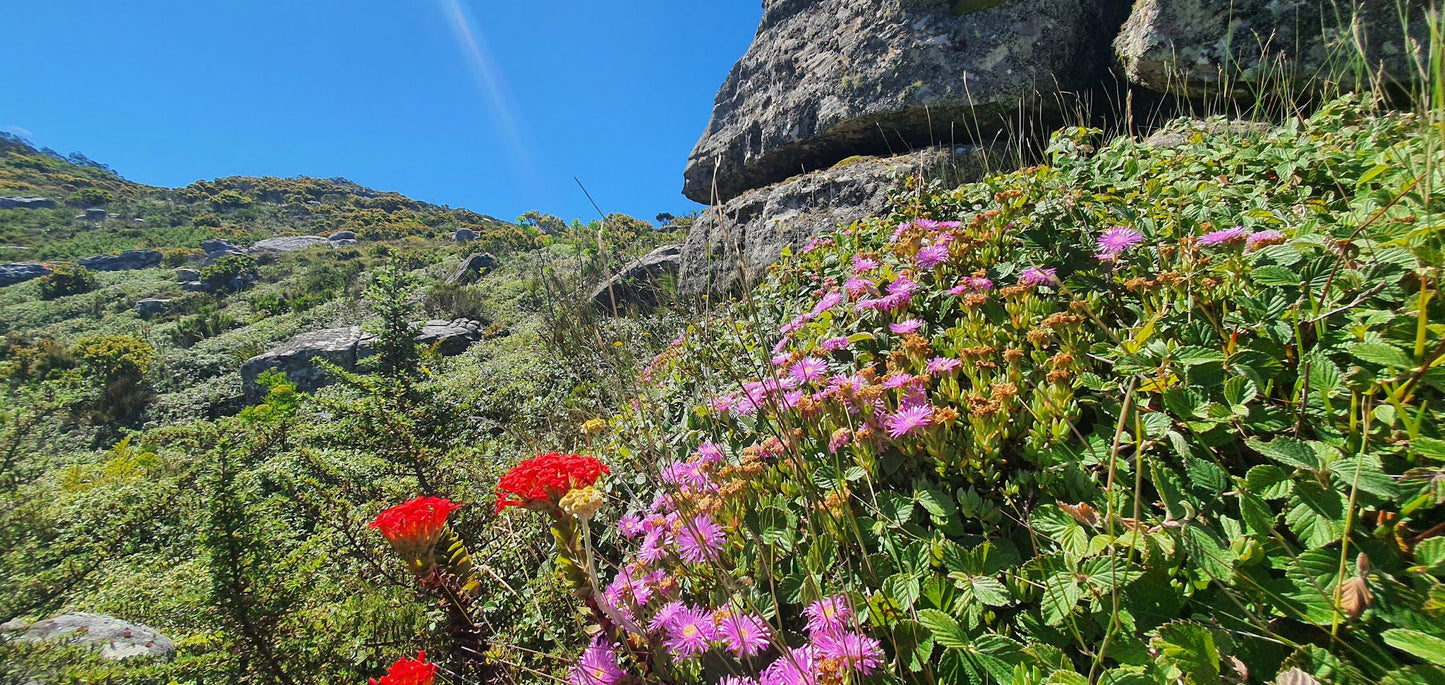 Pulpit Rock