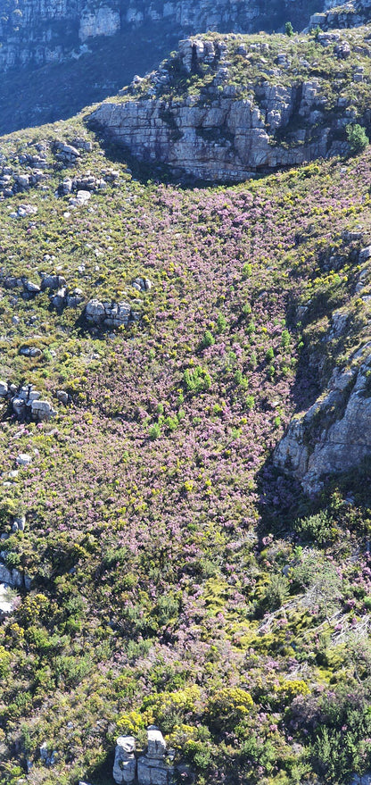 Pulpit Rock