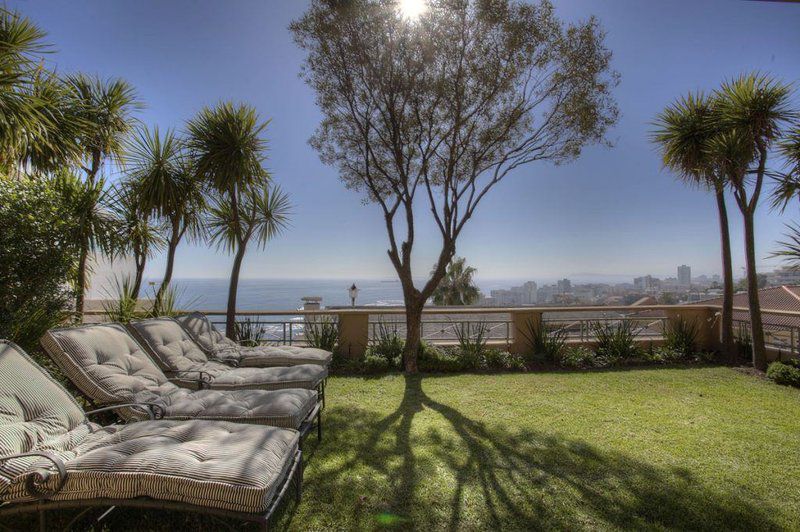 Ravine Views Bantry Bay Cape Town Western Cape South Africa Complementary Colors, Beach, Nature, Sand, Palm Tree, Plant, Wood