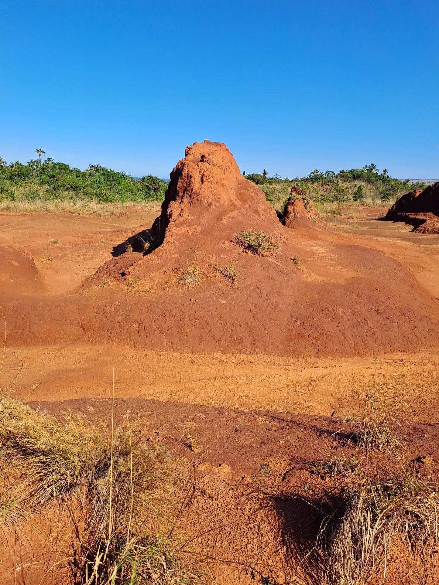  Red Desert