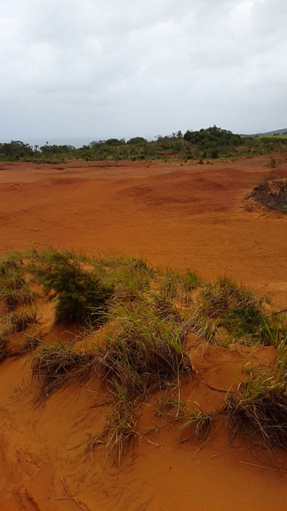  Red Desert