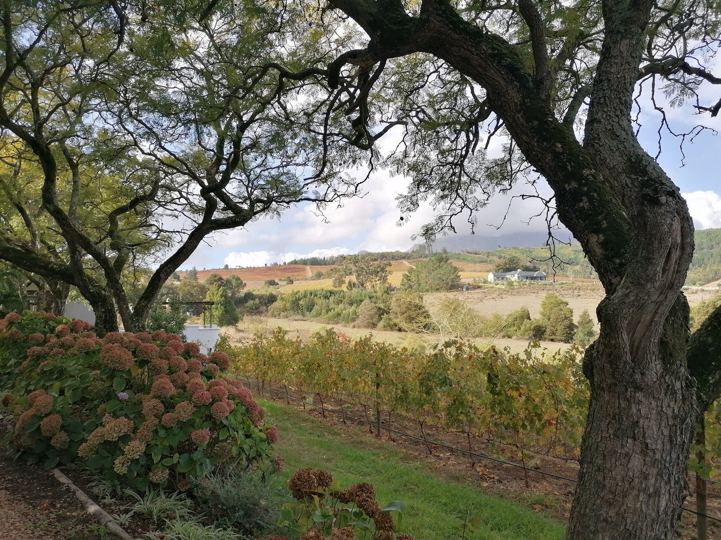  Remhoogte Wine Estate