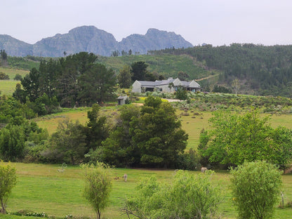  Remhoogte Wine Estate