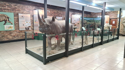  Rhino Hall @ Berg-en-Dal