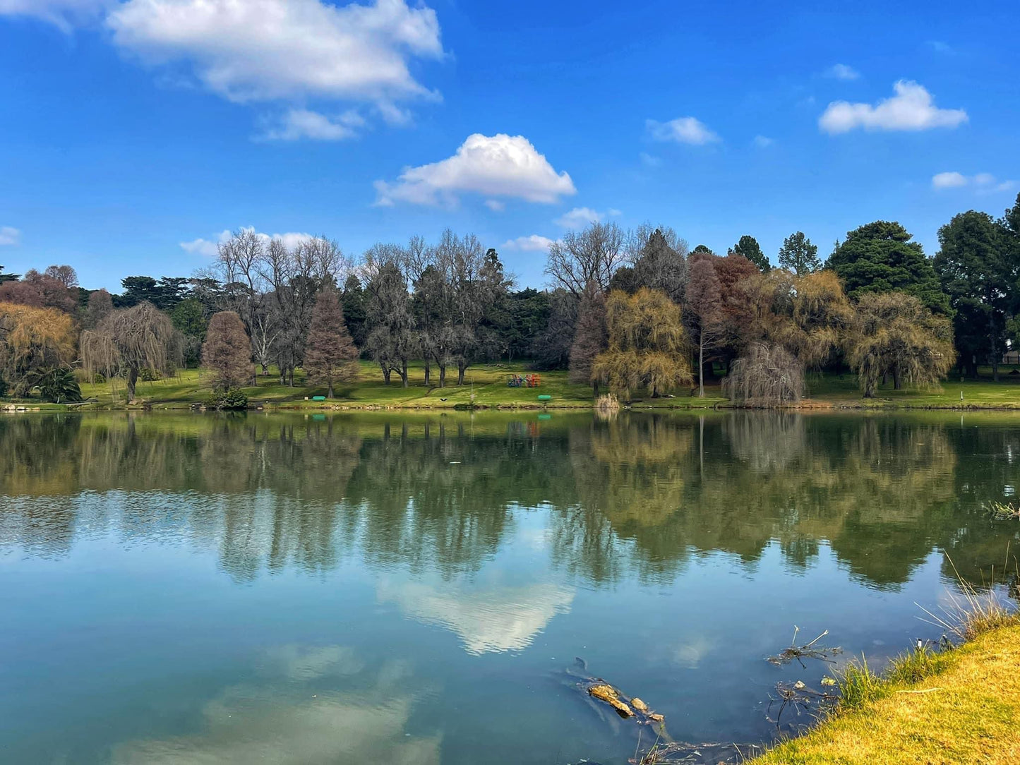  Rhodes Park