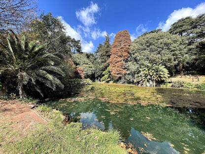  Rhodes Park