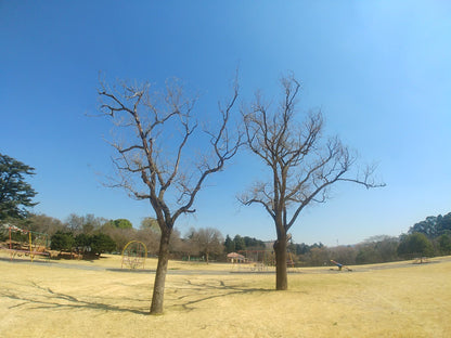  Rhodes Park