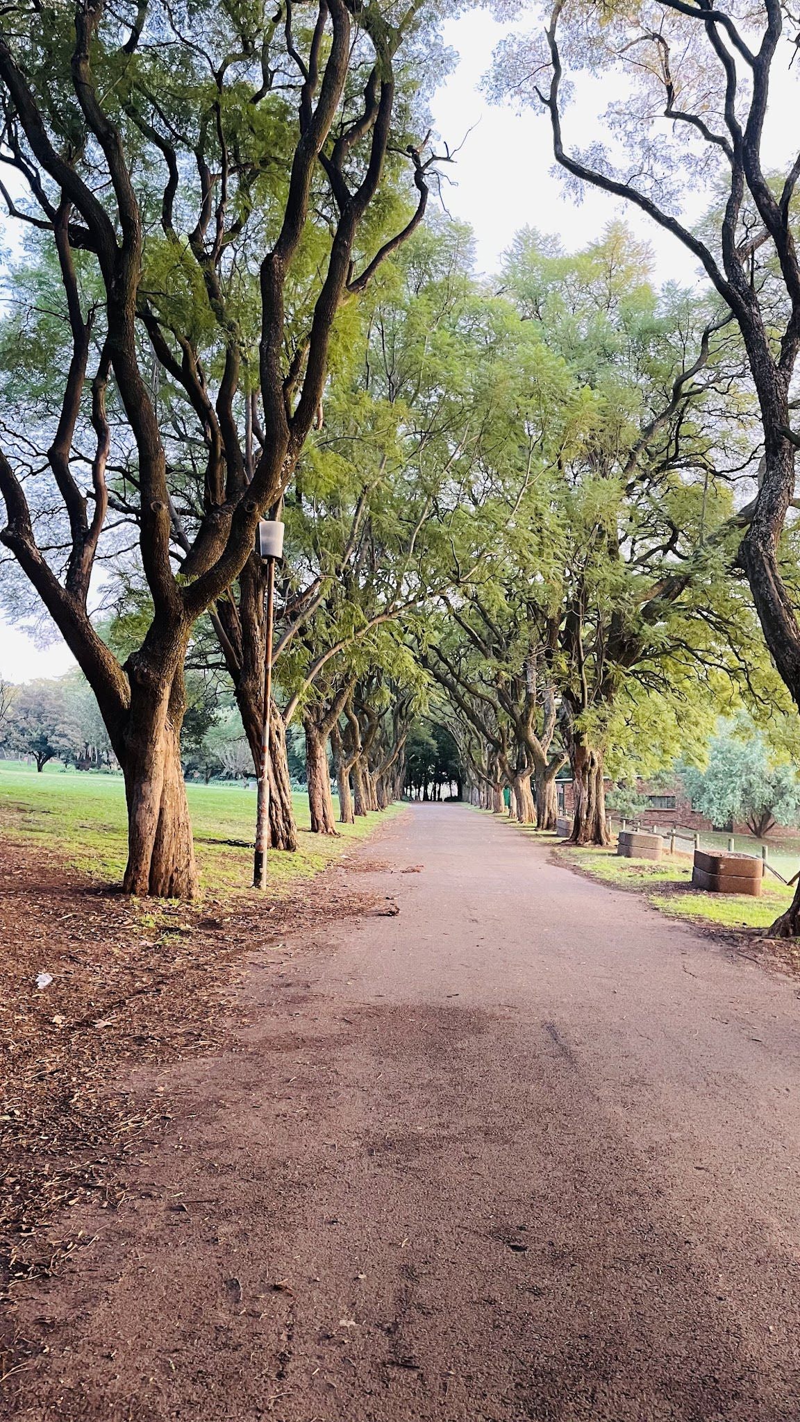  Rhodes Park