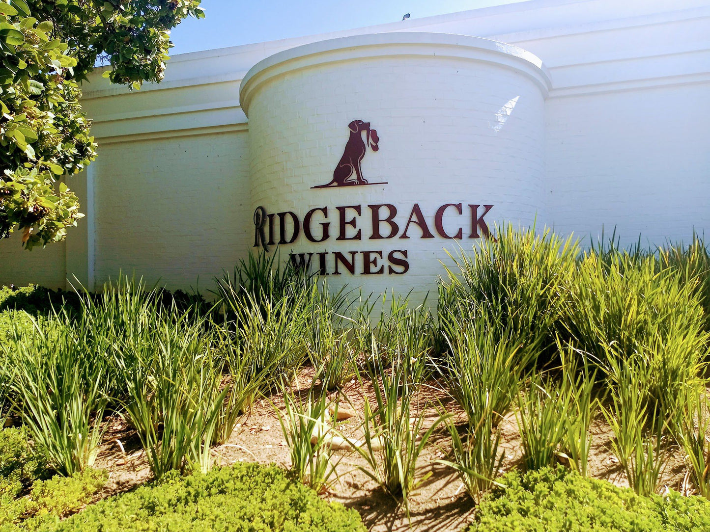  Ridgeback Wines