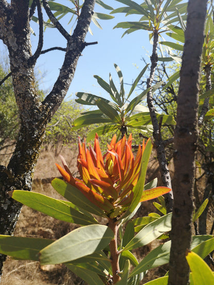  Rietfontein Nature Reserve