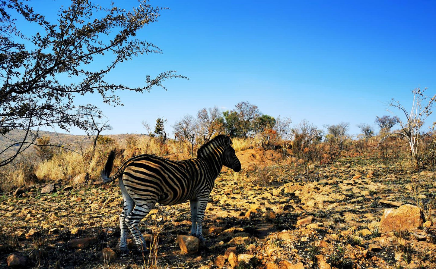  Rietfontein Nature Reserve