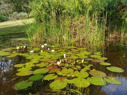  Rietfontein Nature Reserve