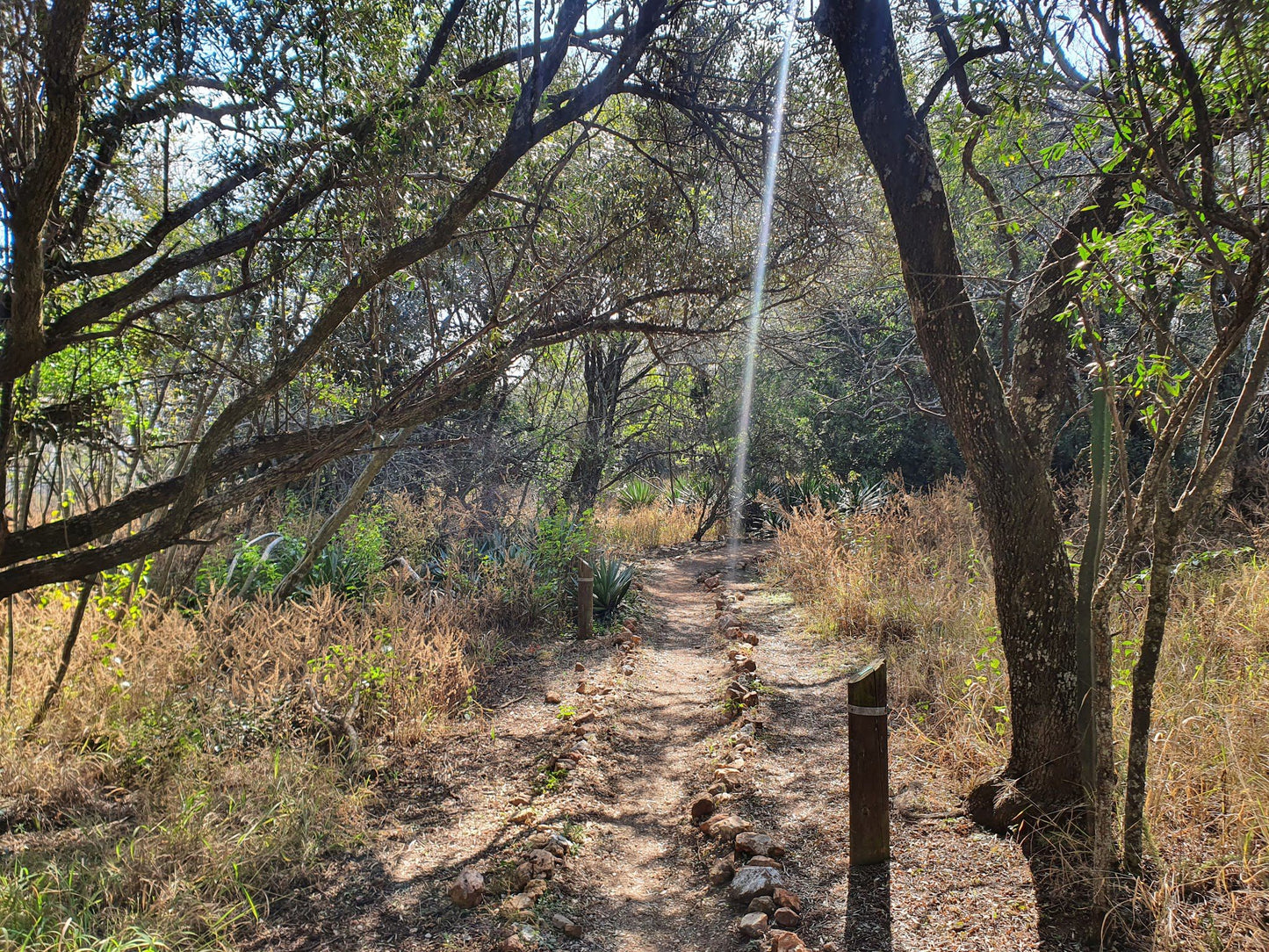  Rietfontein Nature Reserve