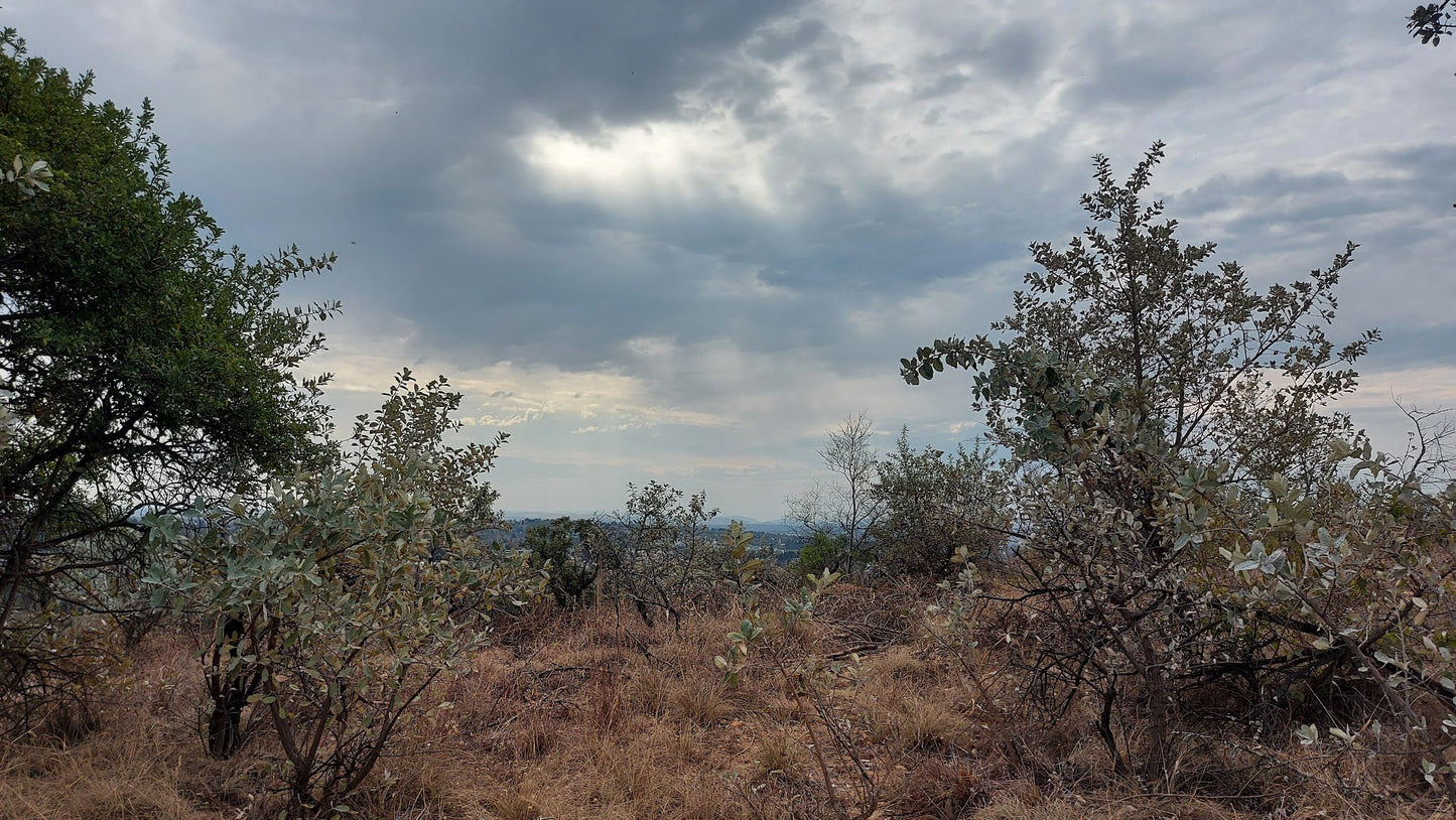  Rietfontein Nature Reserve