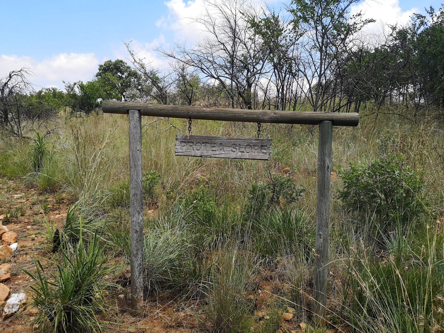  Rietfontein Nature Reserve