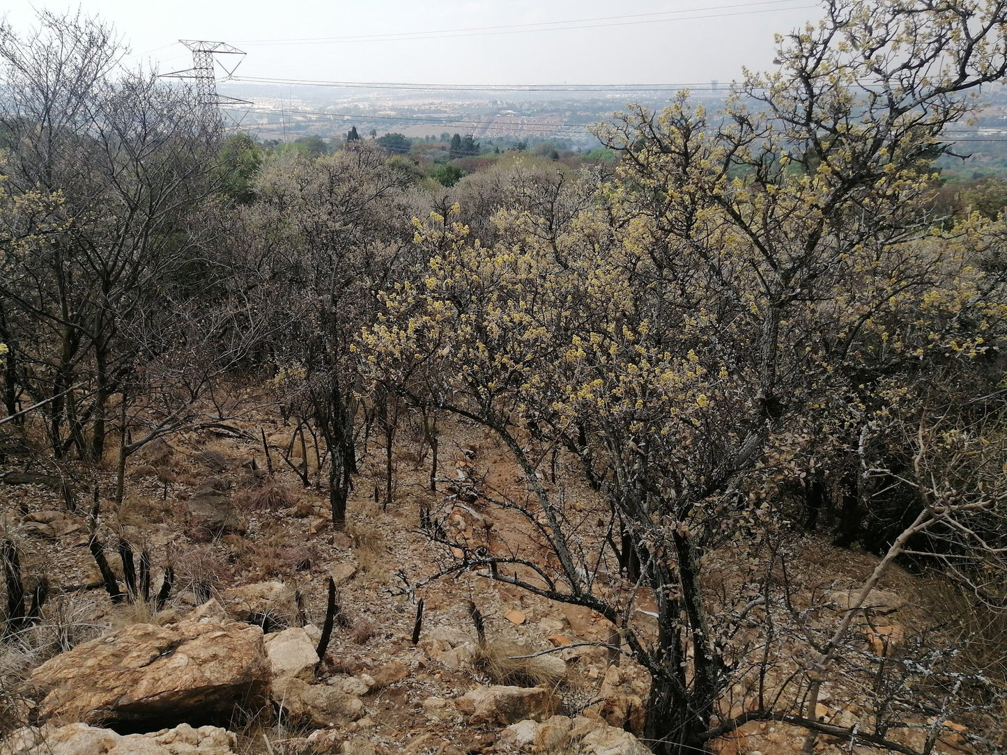  Rietfontein Nature Reserve