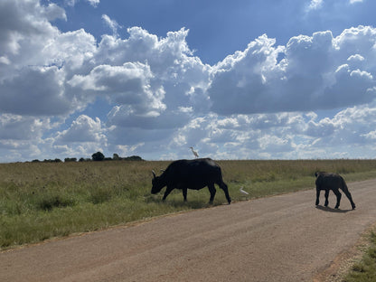  Rietvlei Nature Reserve Entrance Gate