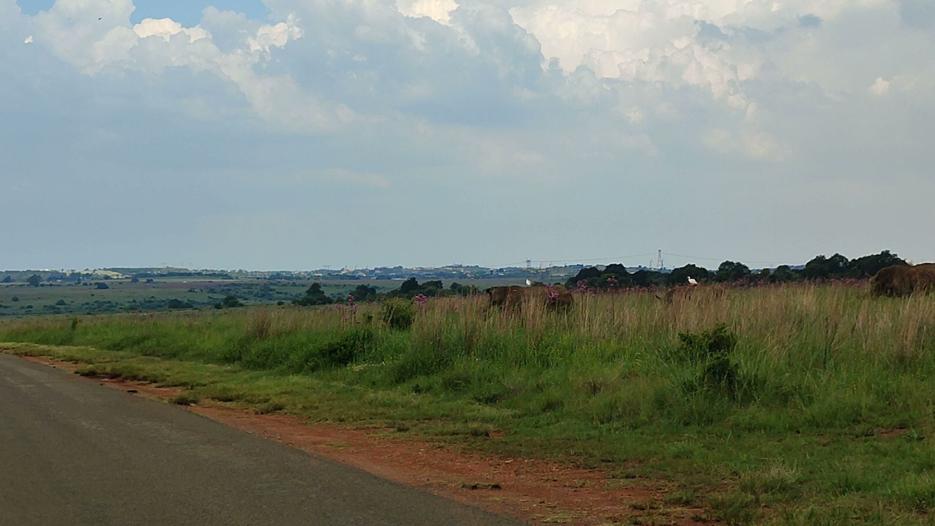  Rietvlei Nature Reserve Entrance Gate