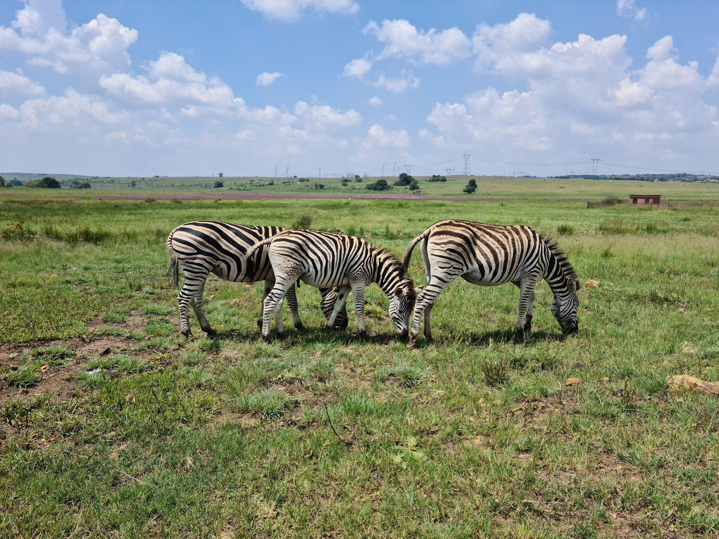  Rietvlei Nature Reserve