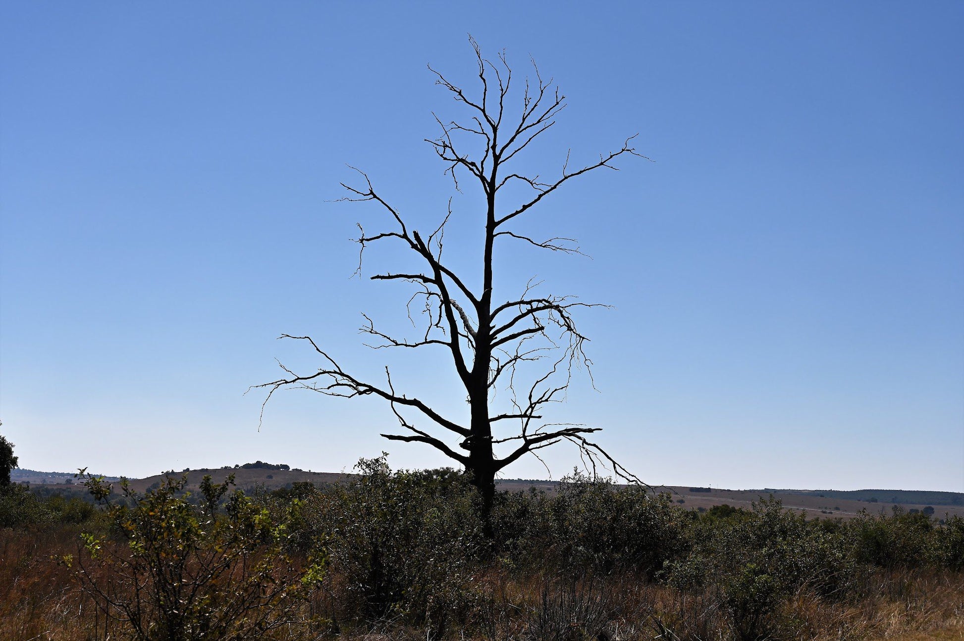  Rietvlei Nature Reserve