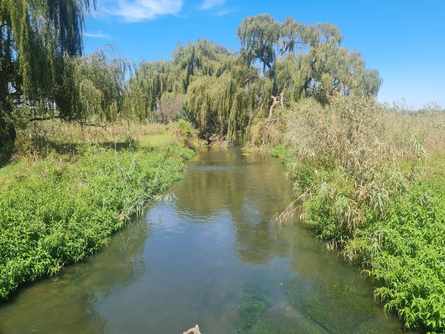  Rietvlei Nature Reserve