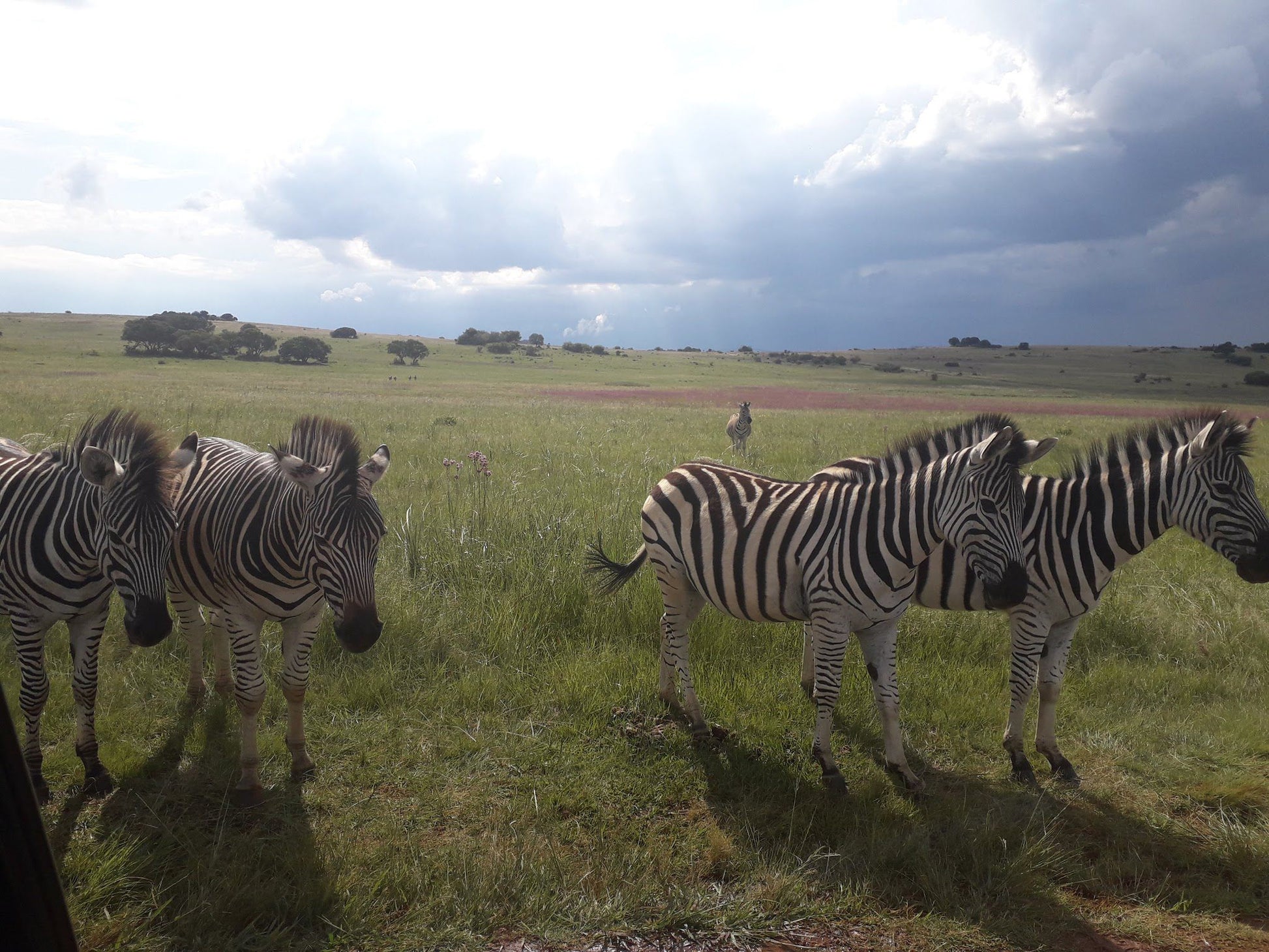  Rietvlei Nature Reserve