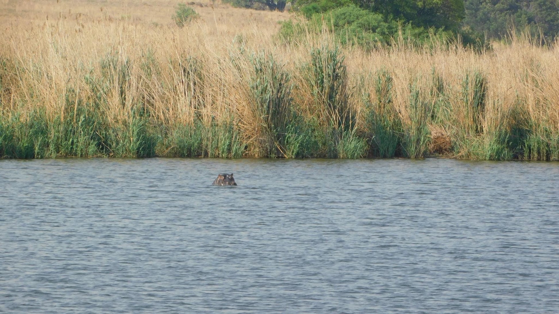  Rietvlei Nature Reserve