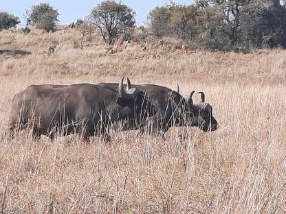  Rietvlei Nature Reserve