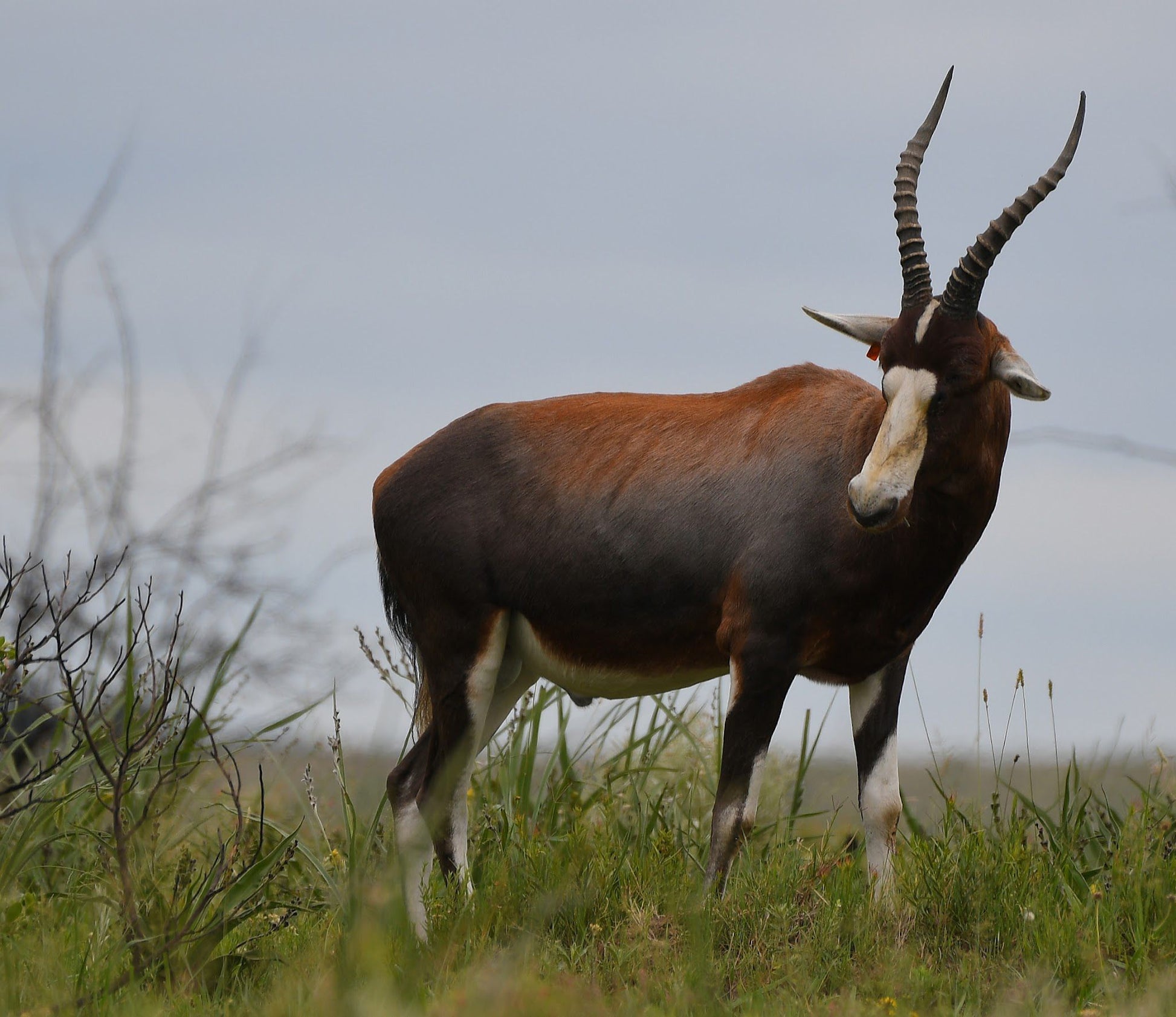  Rietvlei Nature Reserve