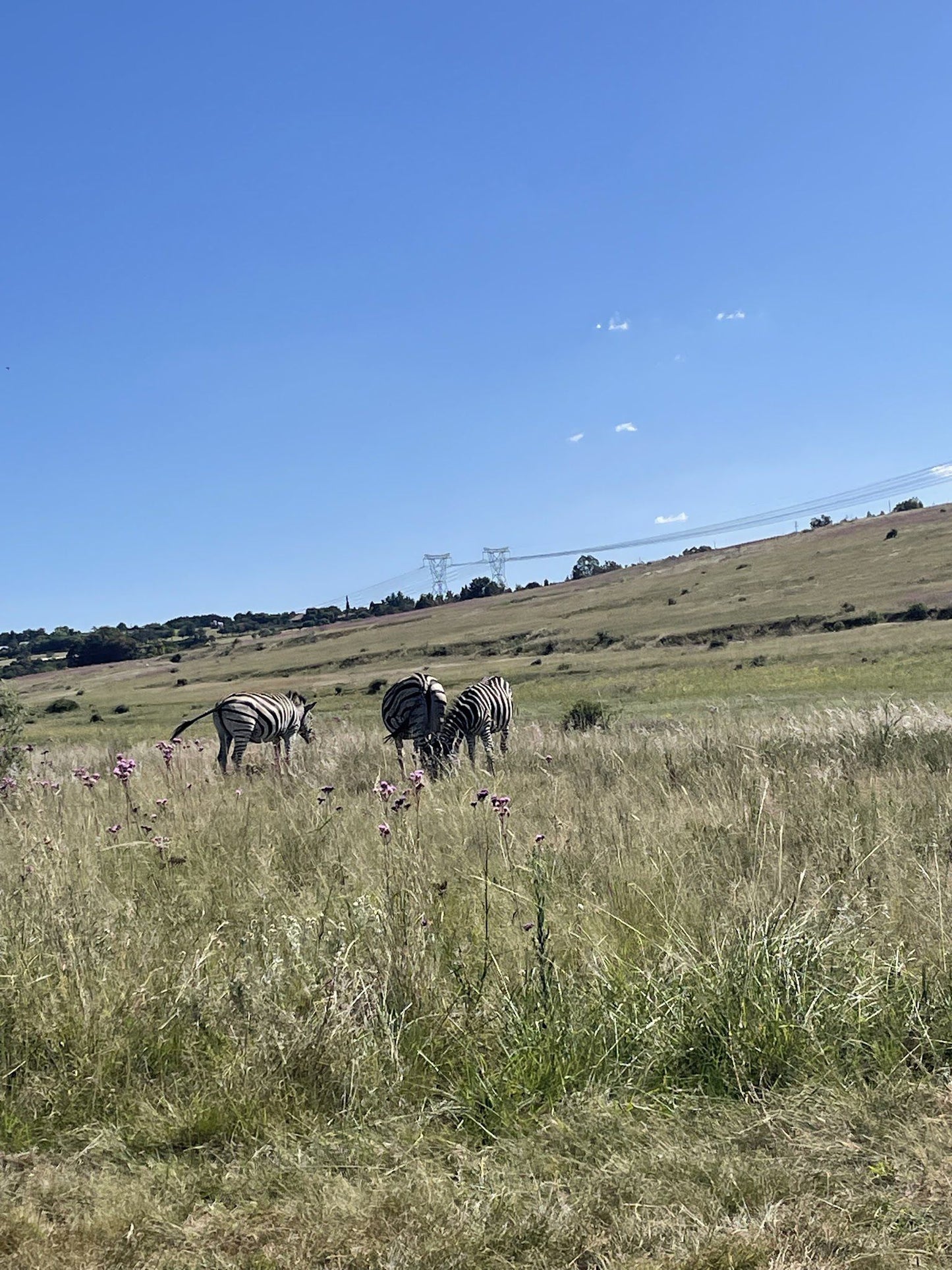  Rietvlei Nature Reserve