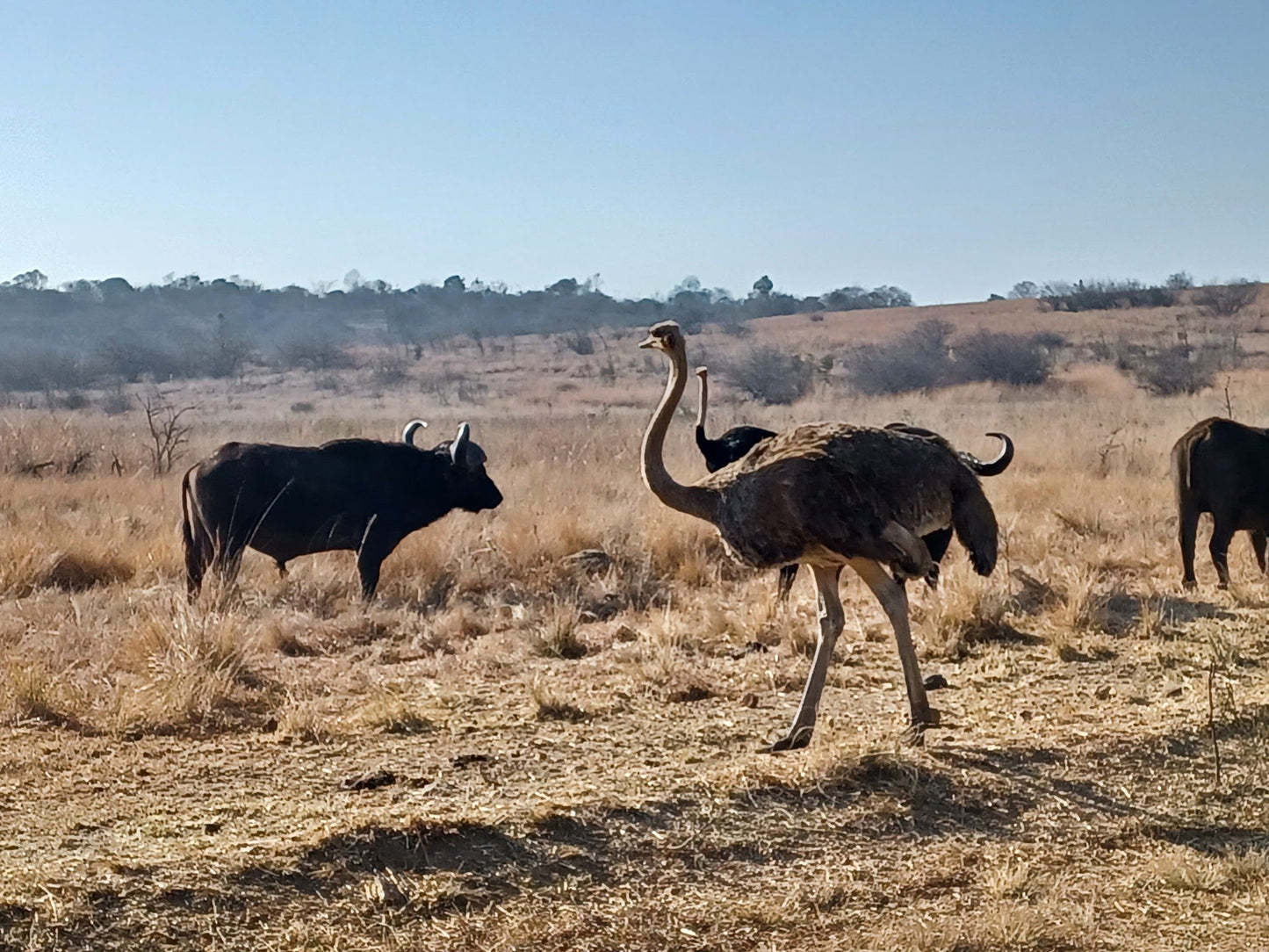  Rietvlei Nature Reserve