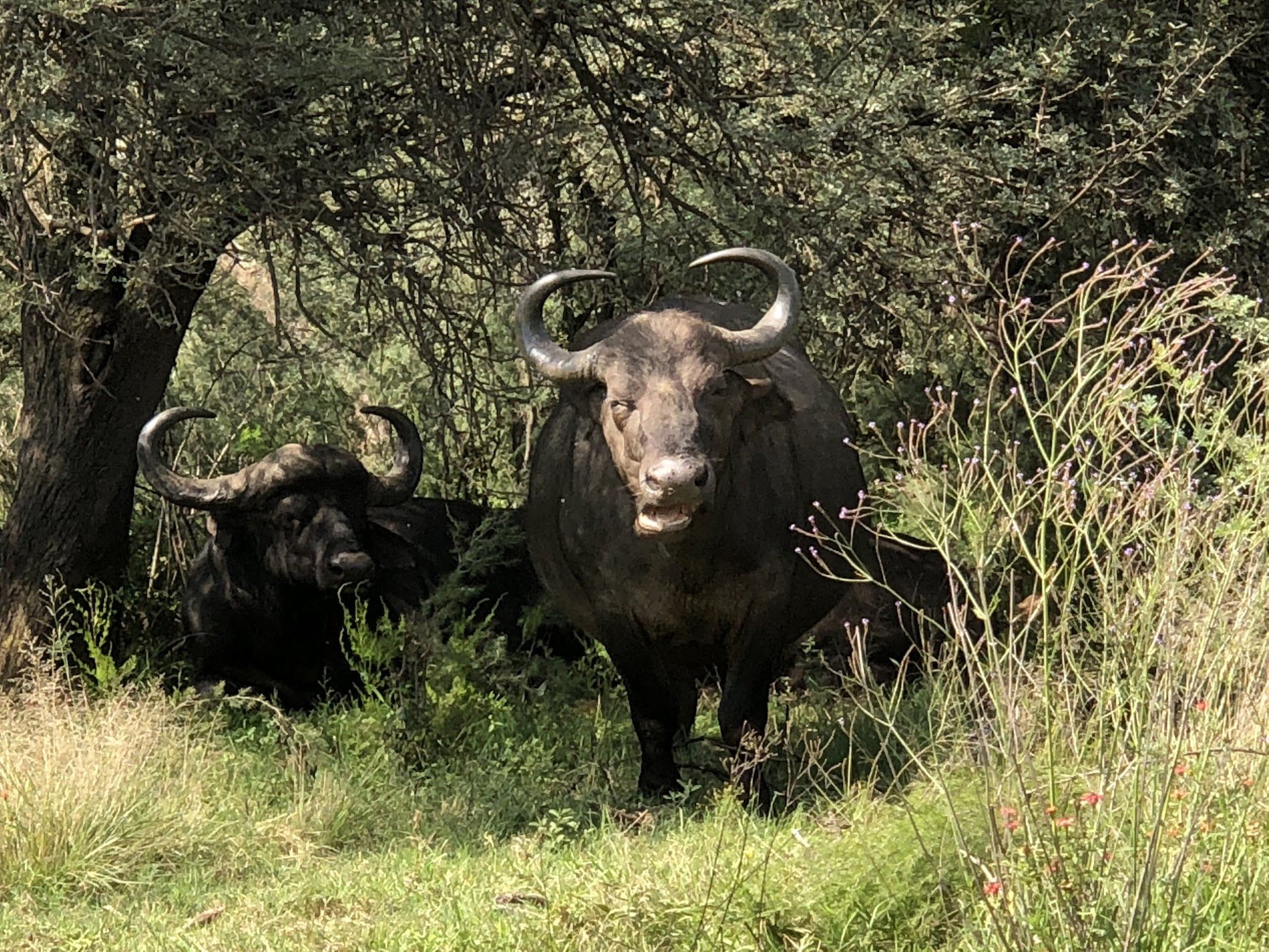  Rietvlei Nature Reserve