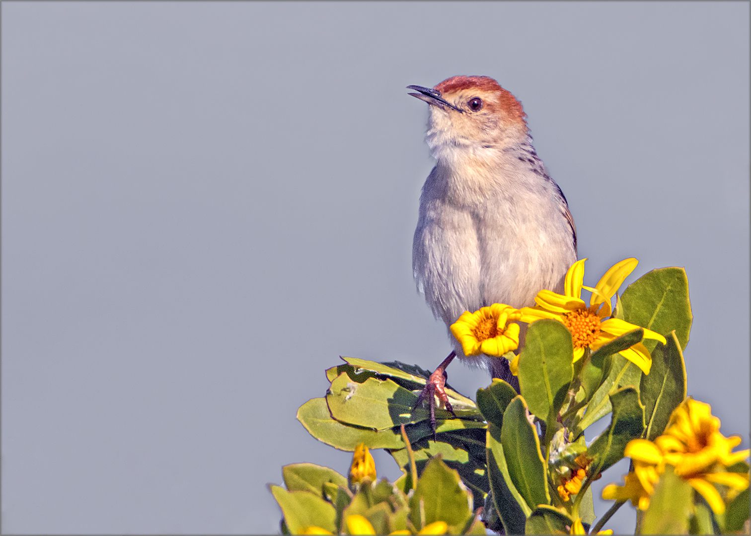  Rietvlei Wetland Reserve