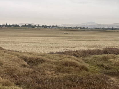  Rietvlei Wetland Reserve