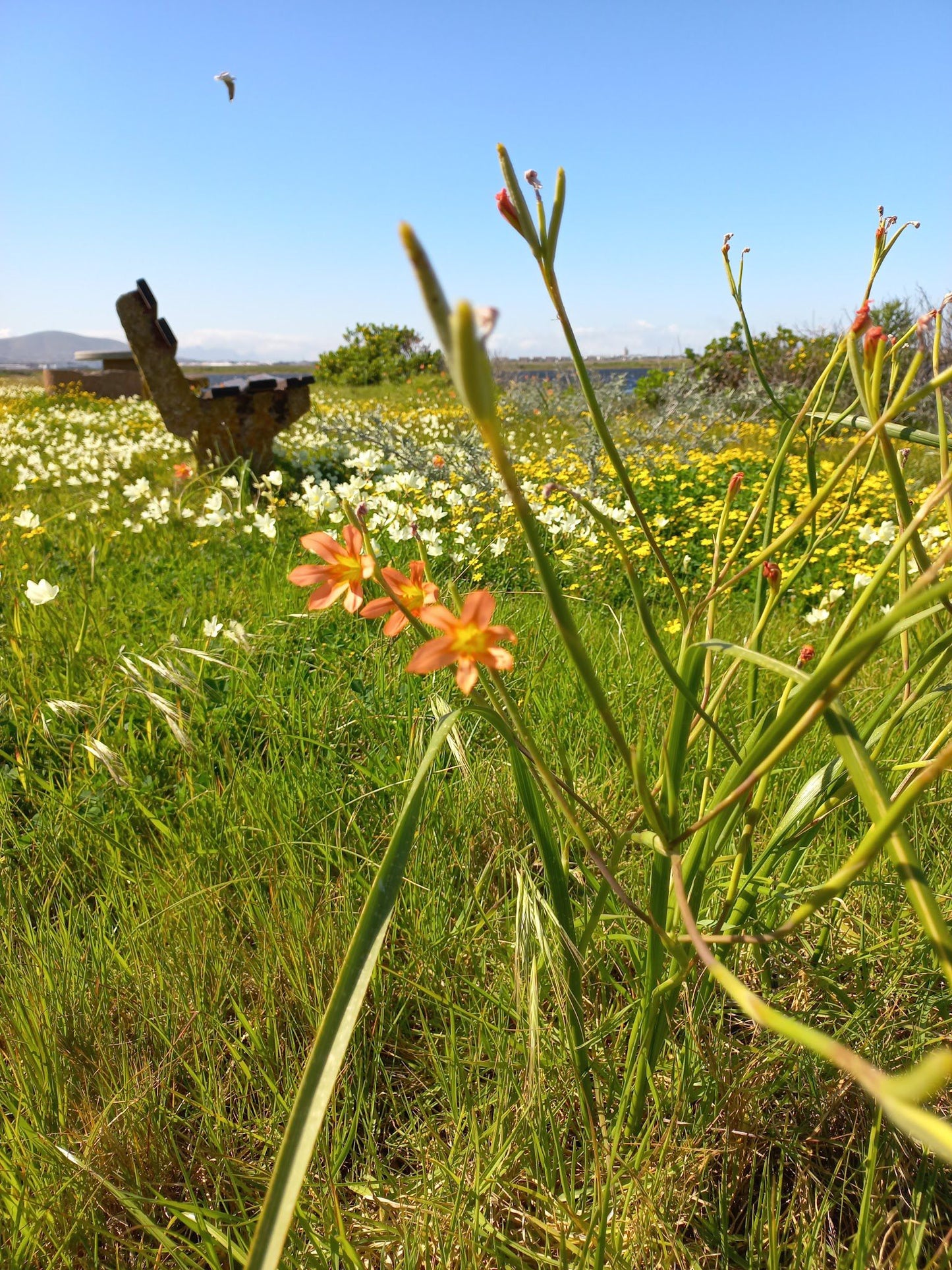  Rietvlei Wetland Reserve