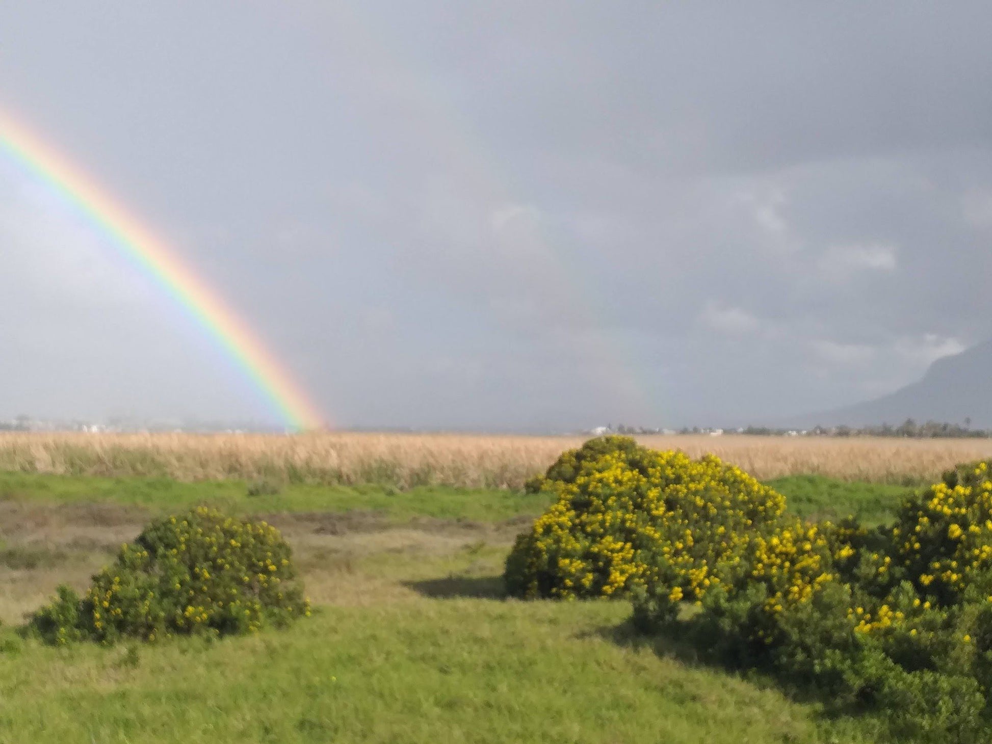  Rietvlei Wetland Reserve