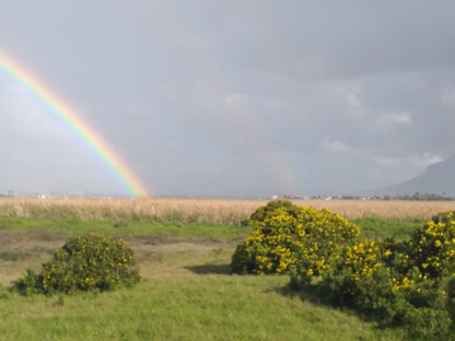  Rietvlei Wetland Reserve