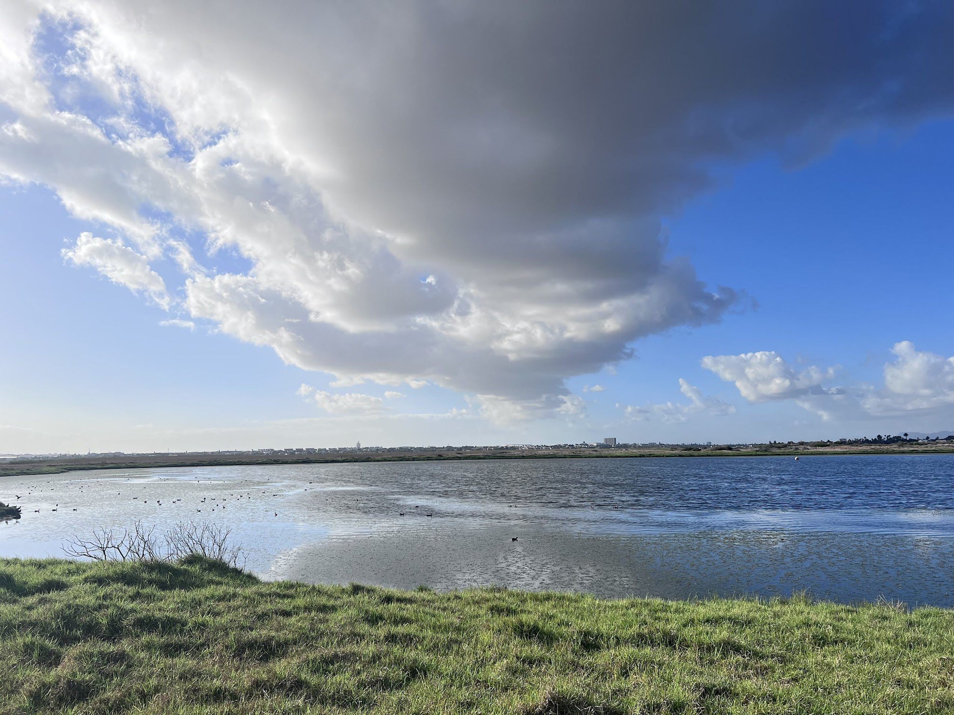  Rietvlei Wetland Reserve