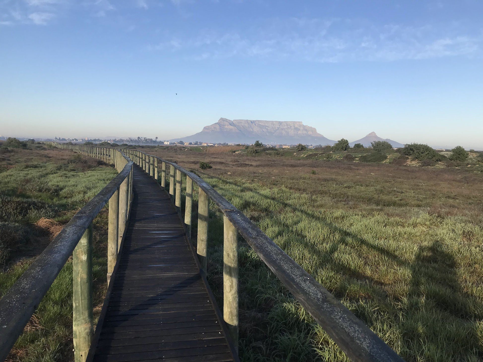  Rietvlei Wetland Reserve