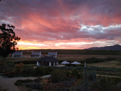  Rijks Wine Estate and Hotel. Tulbagh.