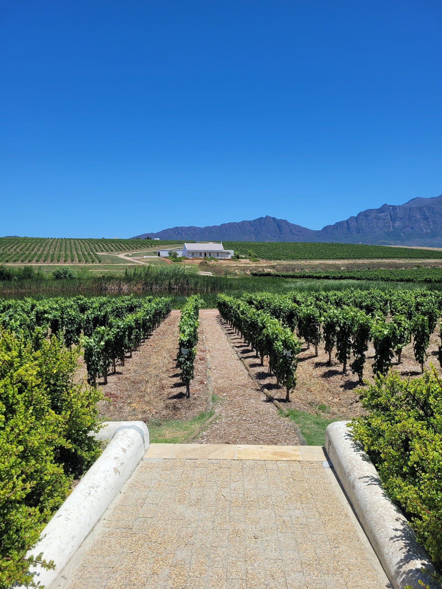  Rijks Wine Estate and Hotel. Tulbagh.