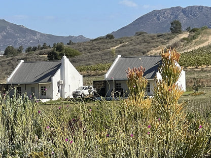  Rijks Wine Estate and Hotel. Tulbagh.