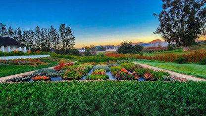  Rijks Wine Estate and Hotel. Tulbagh.